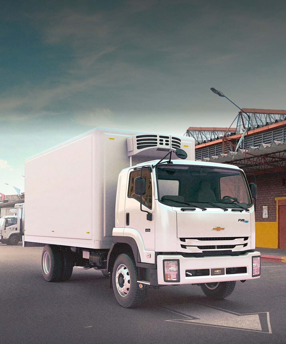Camion Chevrolet FVR 1730 EIII Largo