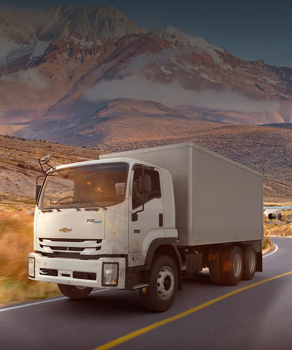 Camion Chevrolet FVZ 2630 EIII Largo